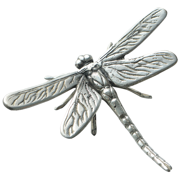 Bronze Dragonfly balizen