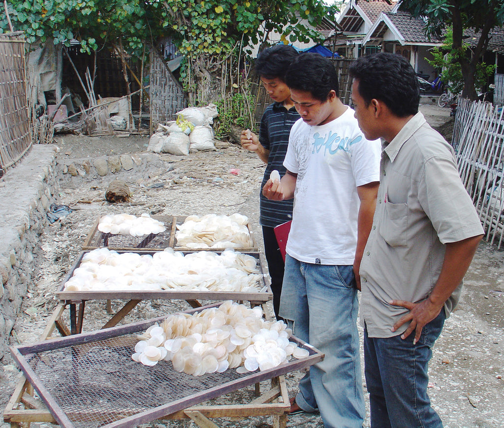 Capiz Shell – balizen